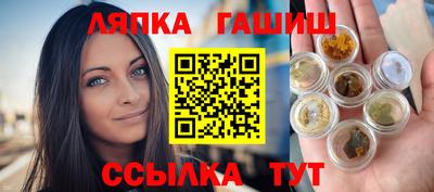 прущие грибы Лесосибирск