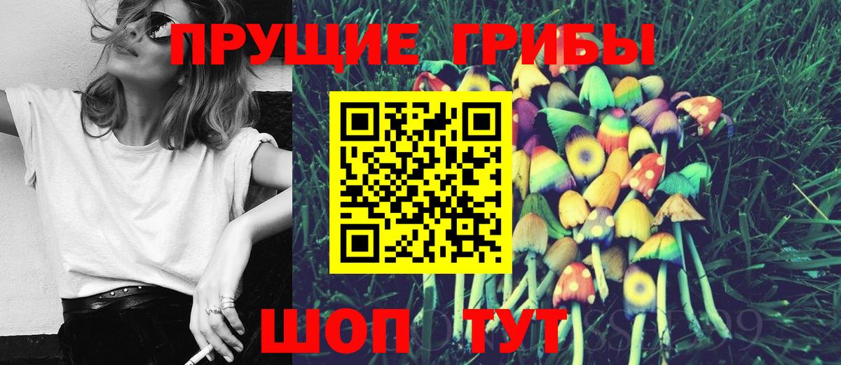 купить  сайты  Галлюциногенные грибы GOLDEN TEACHER  Вход с VPN  Красноперекопск 